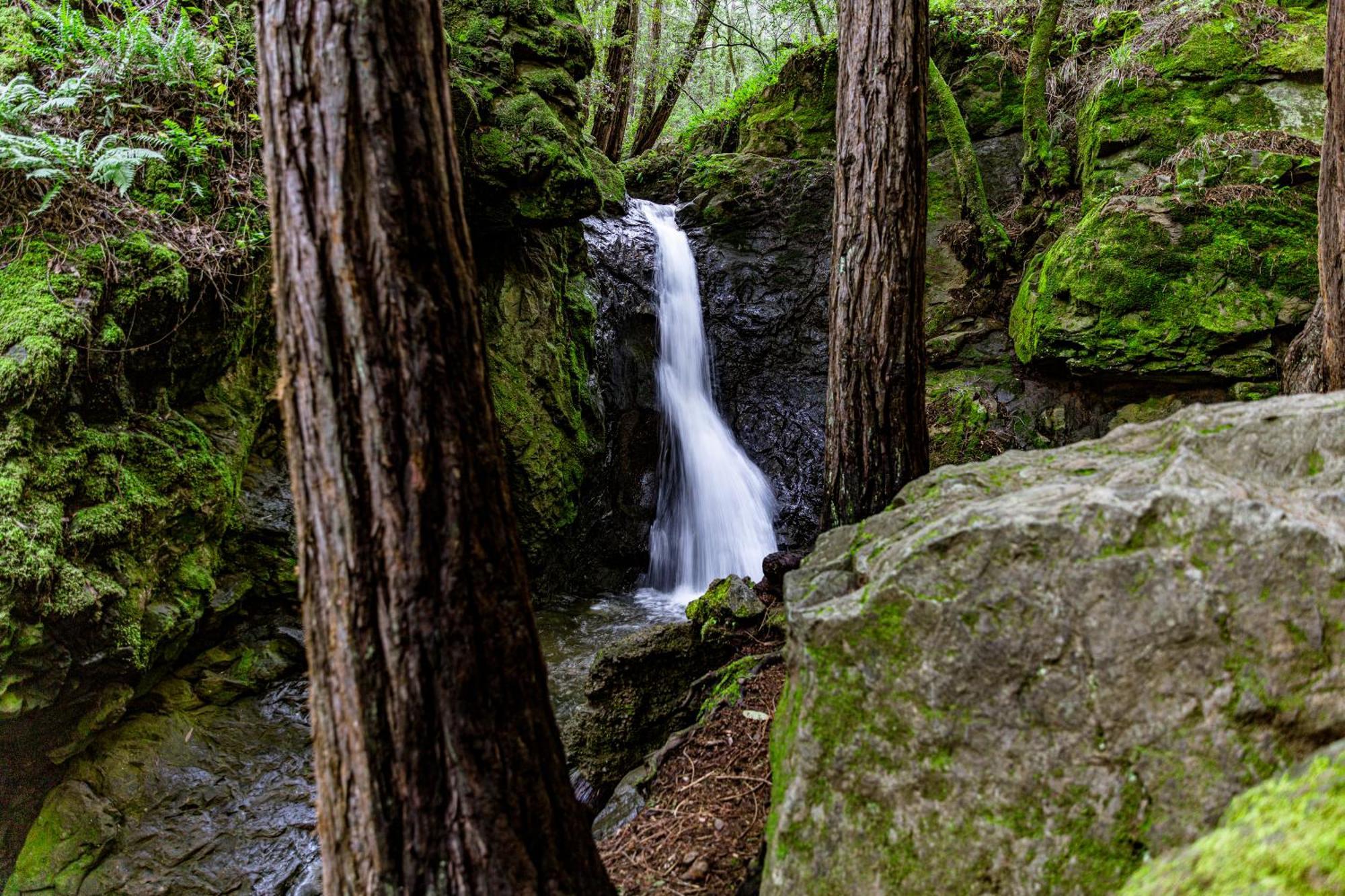 Enchanted Waterfall Sanctuary Mill Valley Exterior foto