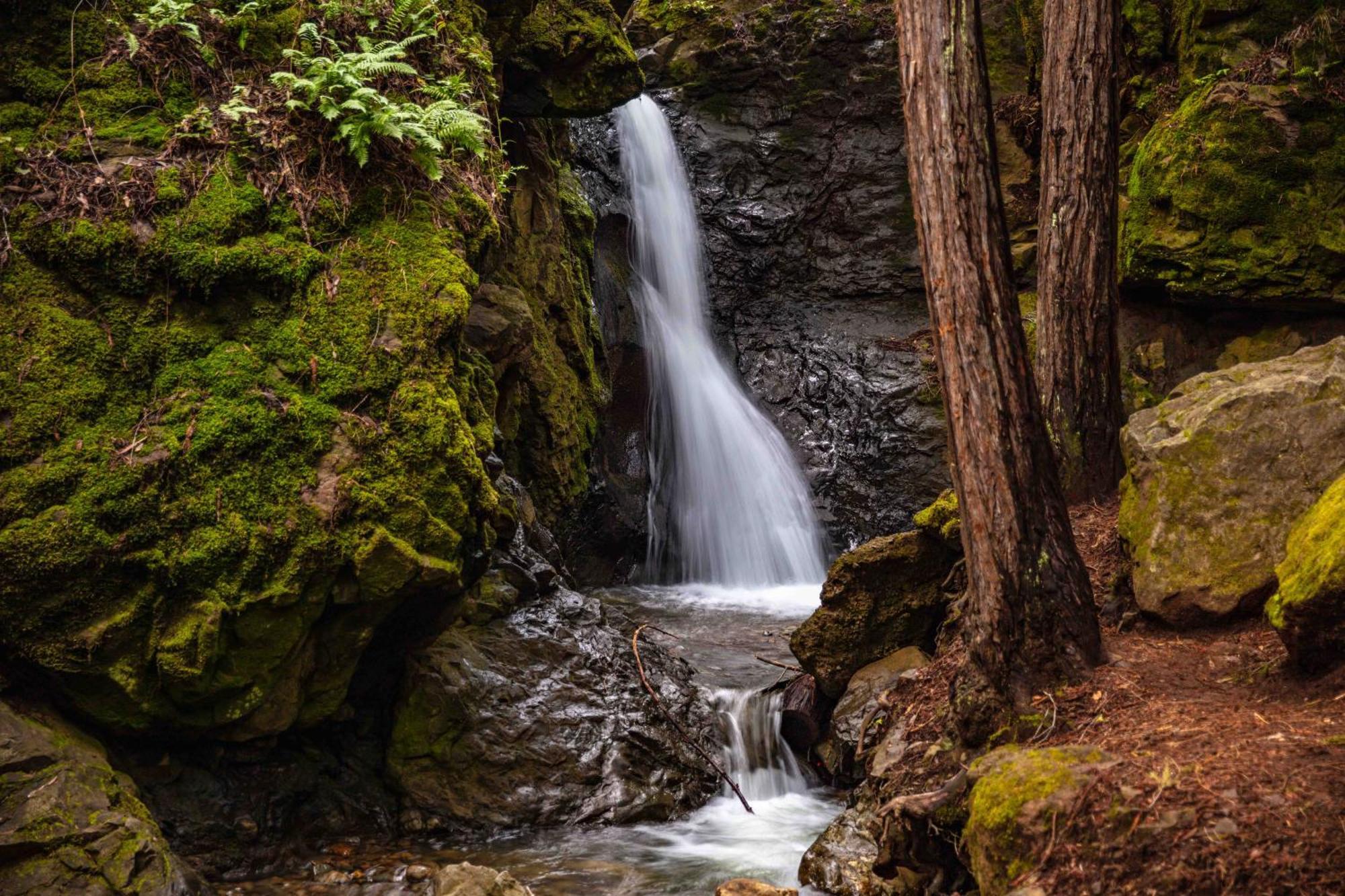 Enchanted Waterfall Sanctuary Mill Valley Exterior foto