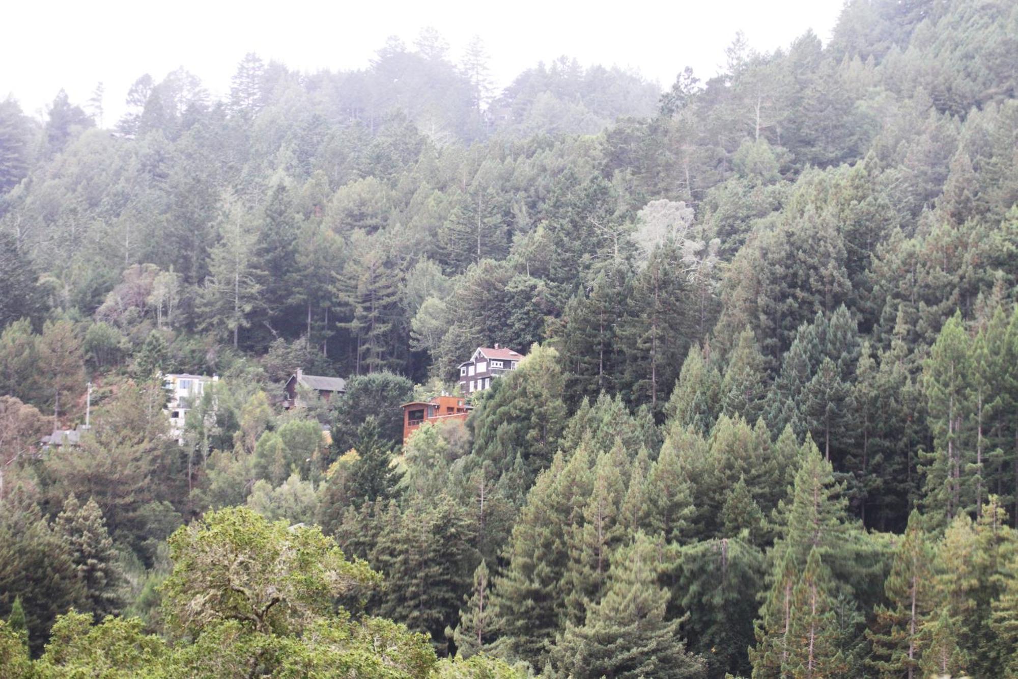 Enchanted Waterfall Sanctuary Mill Valley Exterior foto