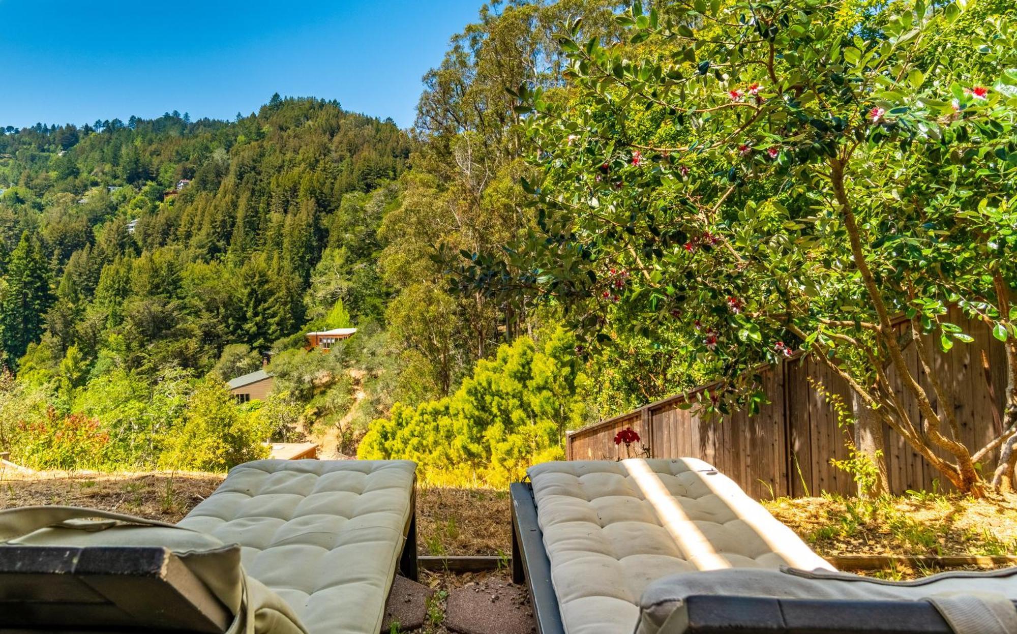 Enchanted Waterfall Sanctuary Mill Valley Exterior foto